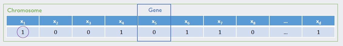 Chromosome