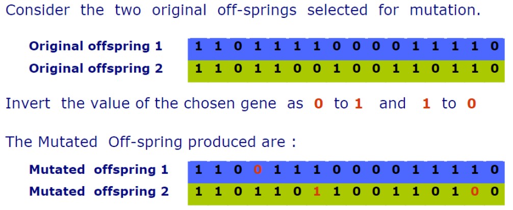 Mutation